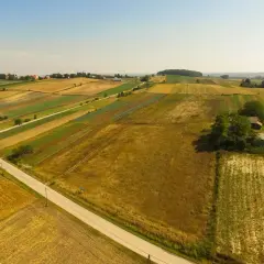 Widok z lotu ptaka na patchwork pól uprawnych, domy i szklarnie. Kto płaci podatek od dzierżawy gruntu? Rolnicy, którzy uprawiają te ziemie.