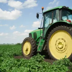 Zielony traktor na polu ziemniaków. Nowy właściciel, który nie jest rolnikiem, dziedziczy ziemię rolną i musi nauczyć się obsługi maszyny.