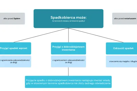 Schemat przedstawia opcje spadkobiercy: przyjąć spadek wprost, z dobrodziejstwem inwentarza lub odrzucić. Kluczowe jest dziedziczenie.