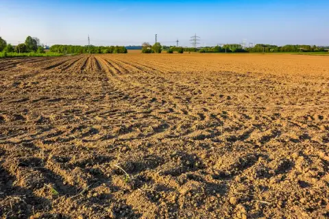 Pola uprawne po orce, gotowe na nieodpłatną dzierżawę gruntu rolnego. W tle drzewa i linie energetyczne.