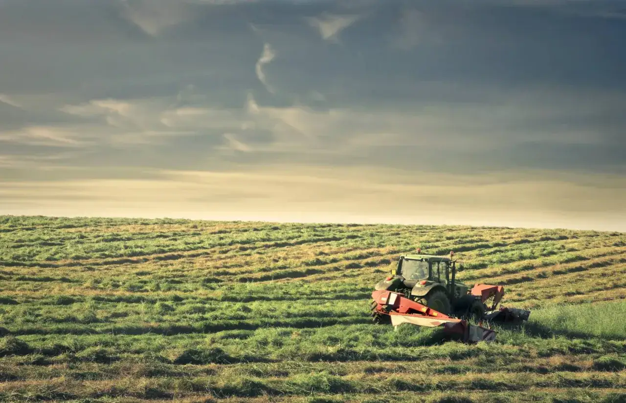 Traktor kosi trawę na polu. Nowy właściciel, który nie jest rolnikiem, musi nauczyć się zarządzać ziemią rolną.